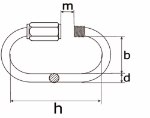 Afbeeldingen van Noodschalm met schroef / 05 mm / RVS AISI 316