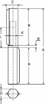 Afbeeldingen van Aanlaspaumelle / RVS pen en RVS ring / 160x20