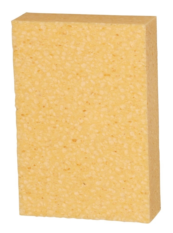 Afbeeldingen van Basic Spons, 16x11cm