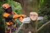 Afbeeldingen van Stihl MSA 220 TC-O accu kettingzaag 35cm