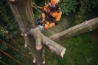 Afbeeldingen van Stihl MSA 220 TC-O accu kettingzaag 35cm