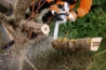 Afbeeldingen van Stihl MS 201 TC-M benzine kettingzaag