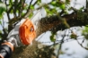 Afbeeldingen van Stihl HTA 135 Accu hoogsnoeier 30cm