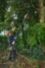 Afbeeldingen van Stihl HTA 66 Accu hoogsnoeier 30cm